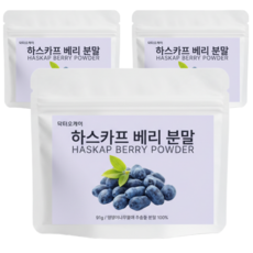 닥터오케이 하스카프베리 분말 100% 베리가루 91g 대용량 3개월분 하스카프베리 c3g 안토시안 C3G 안토시아닌 하스카프베리 추출물, 3개