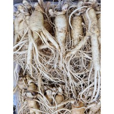 풍기햇인삼 6년근 깨끗한A급 (1Kg750g500g250g) 세척난발삼 무료세척 진공포장, 1000g, 1개