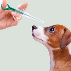 강아지 고양이 필건 알약투여기 주사기형 물약 투약기 가정용, 1개, 1ml