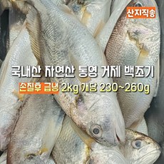 [산지직송] 국내산 자연산 통영.거제 백조기 손질후 급냉 2000g 조기구이. 조림. 제수용. 선물용. 가정용, 1박스, 통영거제 백조기 손질후급냉 2kg 개당 230~260g