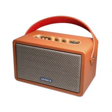 AIWA 愛華 手提復古式藍芽音箱 RS-X100, 棕色