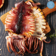 다해온 왕특대 반건조오징어 피데기 준치, 1개, 1.7kg