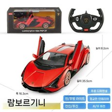 RC 레이싱카 F1 레이싱카 1 12 대형 모델 수집용 선물용, 공식 표준, 람보르기니 레드  1 14  USB 충전