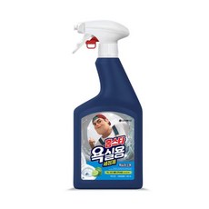 엘지 홈스타 욕실용 세정제 라임바질향, 900ml, 1개