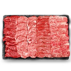 1++ 투뿔 한우 배부른 구이 모둠 한판 세트 600g + 소스3종 증정, 1세트