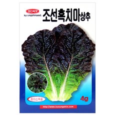 세인화분 조선 흑치마 상추 4g - 상추씨 채소 씨 씨앗, 1개