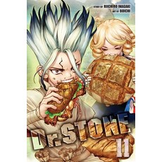 Dr. Stone Vol. 11 Paperback, Viz Media, English, 9781974714797