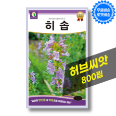 히솝 씨앗 Hyssop 히솝 종자 허브 씨앗 허브키우기 종자, 1개