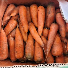 국내산 못난이 흙 당근 5kg 초특가, 1박스