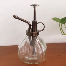 澆花壺 北歐簡約雜貨家用多肉盆栽澆花水壺淋花園藝長嘴復古不銹鋼, 透明南瓜玻璃噴壺, 1個