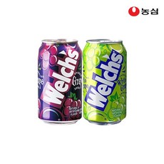 웰치스 포도맛 355ml x 12개 + 청포도맛 355ml x 12개, 24개