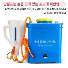지베린 처리 포도 샤인머스켓지베렐린 노즐 농기구, A. 단일펌프(12V5A)