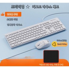 유선 키보드 마우스 세트 데스크탑 노트북 외장실 전용 타이핑 저소음, L. 플래그십 모델  흰색 키보드 및 마우스 세트 +