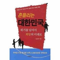 흔들리는 대한민국 위기를 넘어서 희망의 미래로:유동성 위기 진단과 우리 실정에 맞는 명쾌한 해법, BG북갤러리, 김성배 저