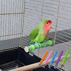 반려조 장난감 로프 횟대 1m 조류용품, 1