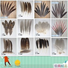 臺灣爆款熱銷 多款diy手工飾品配件材料羽毛野毛 畢業設計羽毛婚慶裝飾 JSRZ, 10#10-15厘米,5根, 1個