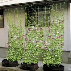 식물 정원 원예 넝쿨망 오이 애호박 그물망 지지대 텃밭 가든네트 3.6x1.8, 1개