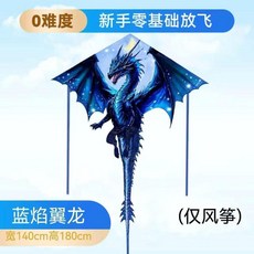 1.4米 翼龍造型風箏 兒童成人適用 零基礎放飛, 1個, 1.4米藍燄翼龍,五個風箏
