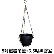 【欣榮園藝】無底吊環 梅花吊籃 鐵藝吊籃 吊盆 垂掛盆 觀葉 蕨類, 1個, 5吋黑色鐵器吊籃+6.5吋黑膠盆一組