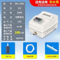 독서실 충전식 산소 발생기 이동식 가정용 실내 대용량 공기, O. 300W 납산 배터리 14홀
