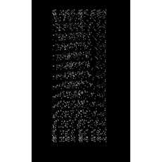 (홍한별) 흰 고래의 흼에 대하여 (추천도서)