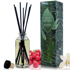 어반 내추럴스 훈제 바닐라 리드 세트 빈 샌달우드 가죽 | 미국산, Black Raspberry Vanilla, 1, 블랙 라즈베리 바닐라