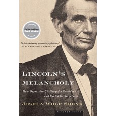 Lincoln's Melancholy: How Depression Challenged a President and Fueled His Greatness, Mariner Books
