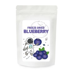 Nature 동결건조 블루베리 파우더 100g, 1개