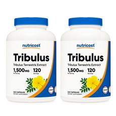 Nutricost Tribulus Terrestris 뉴트리코스트 트리뷸러스 테레스트리스 1500mg 240캡슐 2팩, 240정, 2개