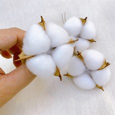 목화 목화머리 솜 목화꽃 꽃다발 리스 재료 촬영소품 가랜드 크리스마스 트리 diy