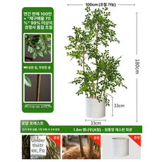 화분 가짜 나무 느릅나무 개업 장식 대형 인조 세트, 1.8m 삼중 가지 + B 화분