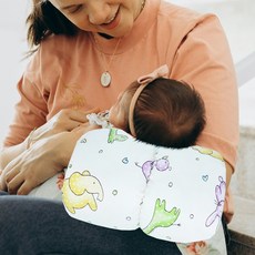 마이베베 모유수유쿠션 분유수유쿠션 팔토시 휴대용 수유쿠션, 에니멀 프랜즈