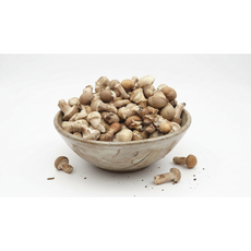 참송이버섯 못난이 미니 애기 가정용 반찬용, 1개, 애기1kg