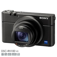 Sony Cyber-shot RX100 Mark VII 索尼公司貨 輕巧高畫質數位相機 兆華國際保固, 1個