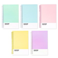 팬톤 수험생 고시생 학생 학습 인강 스터디 플래너, 핑크