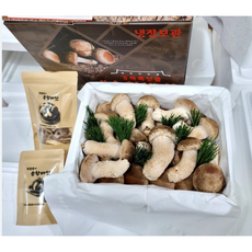 착한송이 송고송화 송향버섯 선물용 최고급 1kg 경상북도 안동, 1박스