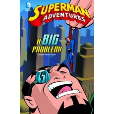 A Big Problem! Library Binding, Stone Arch Books