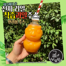 귤하르방 비가열 NFC착즙 제주 한라봉 감귤 착즙주스 (6병), 6개, 320ml