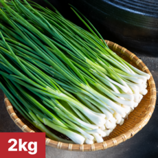 [여수 청년농부] 당일제조 국내산 여수 쪽파, 1개, 2kg
