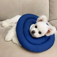 리치독스 강아지넥카라 애견 넥카라 고양이 깔대기 원형방수, 네이비, 1개