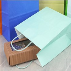 다온 종이 쇼핑백 손잡이봉투, 소 - 민트
