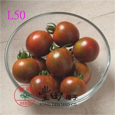 【野菜部屋~】L50圓型條紋(紫帶綠條紋)蕃茄種子中包裝 蕃茄味道濃郁~, 1包