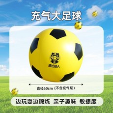 瀾錦書捨 戶外充氣大足球 親子互動玩具 兒童草坪沙灘草地幼兒園專用 超巨型球, 1個, 單球max款-600毫米