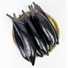 국내산햇가지 생가지 제철가지 가지 햇가지 가지볶음 3kg 5kg, 1개