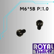 ROYAL M6*5B P:1.0 鈦合金錐形螺絲 帝王黑, 1個