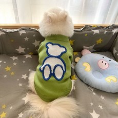 강아지 견주 커플룩 곰돌이 티셔츠 니트 스웨터 애견 겨울옷, 그린/강아지옷, 1개