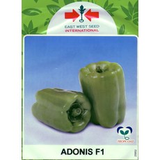 EAST WEST SEED 國際牌 ADONIS F1 泰國綠冠水果甜椒種子, 1包