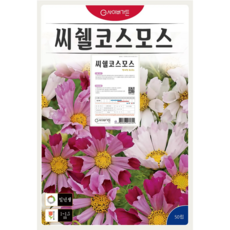 씨쉘 코스모스 씨앗(50립) 꼬깔빨대형 영웅 KS, 1개