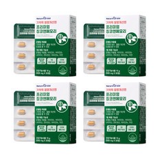 네이처그랜드 프리미엄 징코앤메모리, 4개, 30정