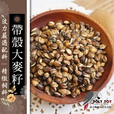 波力鸚鵡玩具生活館 大麥籽 帶殼 烘焙, 1個, 低溫烘培大麥300g